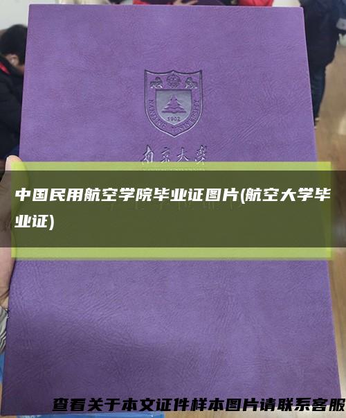 中国民用航空学院毕业证图片(航空大学毕业证)缩略图