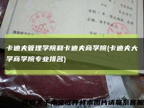 卡迪夫管理学院和卡迪夫商学院(卡迪夫大学商学院专业排名)缩略图