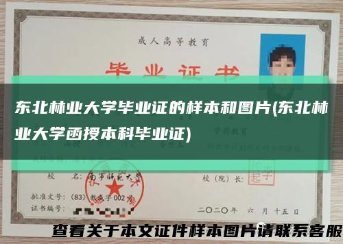 东北林业大学毕业证的样本和图片(东北林业大学函授本科毕业证)缩略图