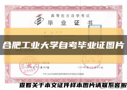 合肥工业大学自考毕业证图片缩略图