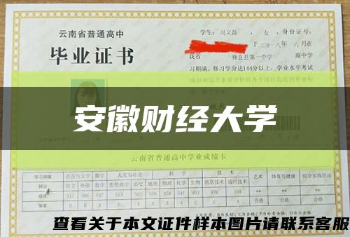 安徽财经大学缩略图