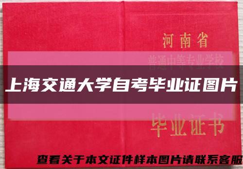 上海交通大学自考毕业证图片缩略图
