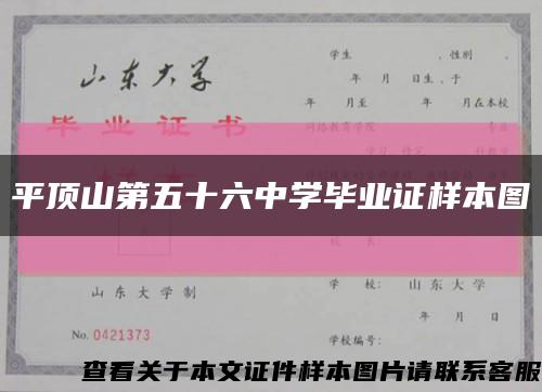 平顶山第五十六中学毕业证样本图缩略图