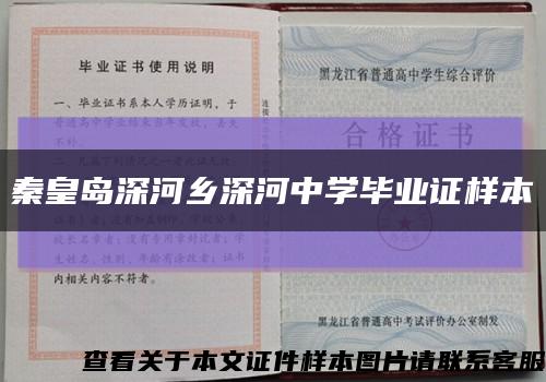 秦皇岛深河乡深河中学毕业证样本缩略图