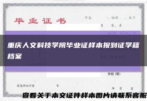 重庆人文科技学院毕业证样本报到证学籍档案缩略图