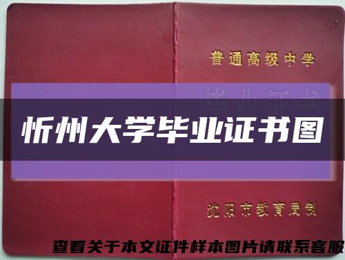 忻州大学毕业证书图缩略图