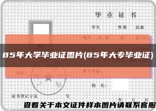 85年大学毕业证图片(85年大专毕业证)缩略图