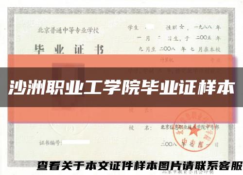 沙洲职业工学院毕业证样本缩略图