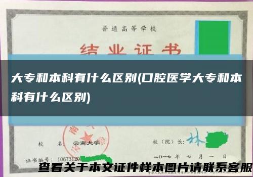 大专和本科有什么区别(口腔医学大专和本科有什么区别)缩略图
