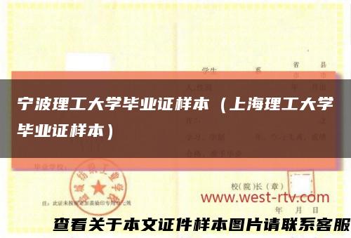 宁波理工大学毕业证样本（上海理工大学毕业证样本）缩略图