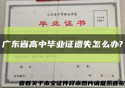 广东省高中毕业证遗失怎么办?缩略图