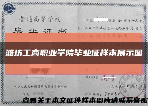 潍坊工商职业学院毕业证样本展示图缩略图