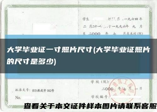 大学毕业证一寸照片尺寸(大学毕业证照片的尺寸是多少)缩略图