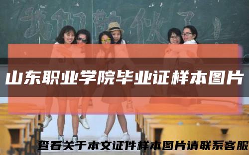 山东职业学院毕业证样本图片缩略图