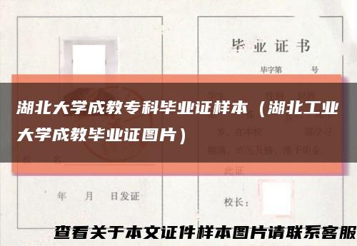 湖北大学成教专科毕业证样本（湖北工业大学成教毕业证图片）缩略图