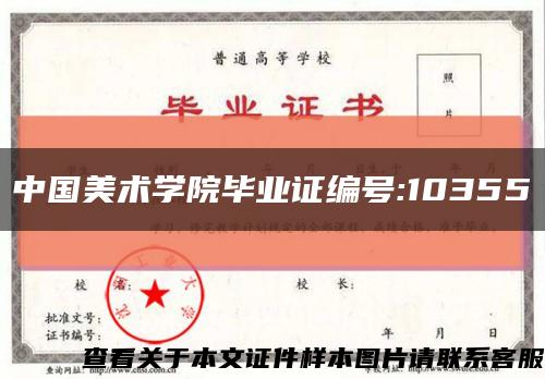中国美术学院毕业证编号:10355缩略图