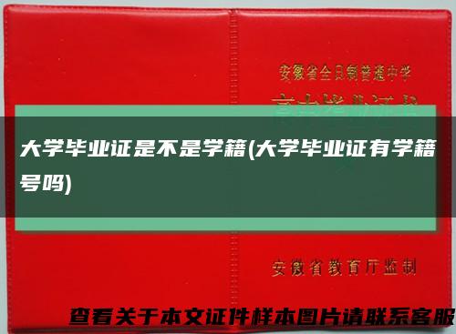 大学毕业证是不是学籍(大学毕业证有学籍号吗)缩略图