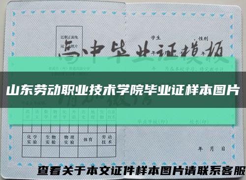 山东劳动职业技术学院毕业证样本图片缩略图