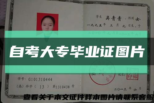 自考大专毕业证图片缩略图