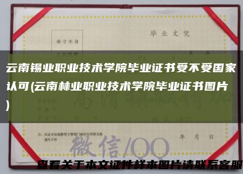 云南锡业职业技术学院毕业证书受不受国家认可(云南林业职业技术学院毕业证书图片)缩略图