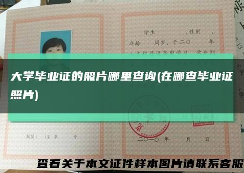 大学毕业证的照片哪里查询(在哪查毕业证照片)缩略图