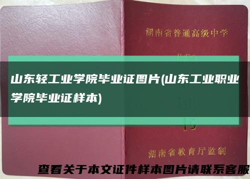山东轻工业学院毕业证图片(山东工业职业学院毕业证样本)缩略图