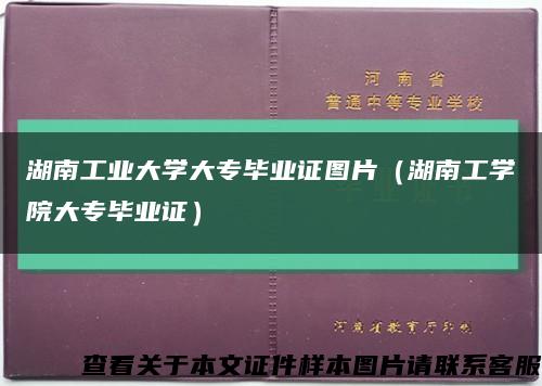 湖南工业大学大专毕业证图片（湖南工学院大专毕业证）缩略图