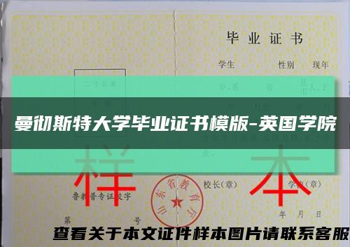 曼彻斯特大学毕业证书模版-英国学院缩略图