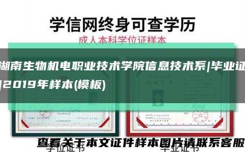湖南生物机电职业技术学院信息技术系|毕业证|2019年样本(模板)缩略图