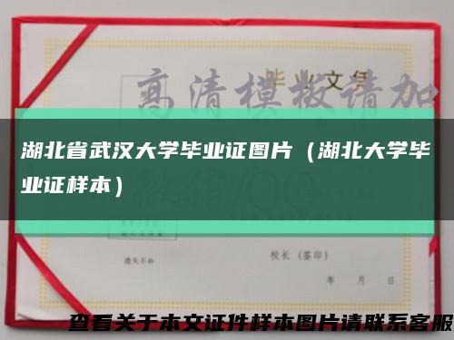 湖北省武汉大学毕业证图片（湖北大学毕业证样本）缩略图