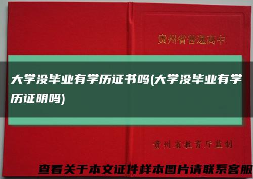 大学没毕业有学历证书吗(大学没毕业有学历证明吗)缩略图