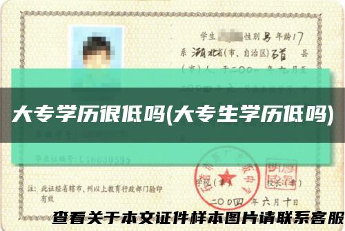 大专学历很低吗(大专生学历低吗)缩略图