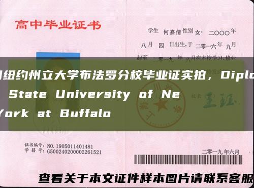 美国纽约州立大学布法罗分校毕业证实拍，Diploma of State University of New York at Buffalo缩略图