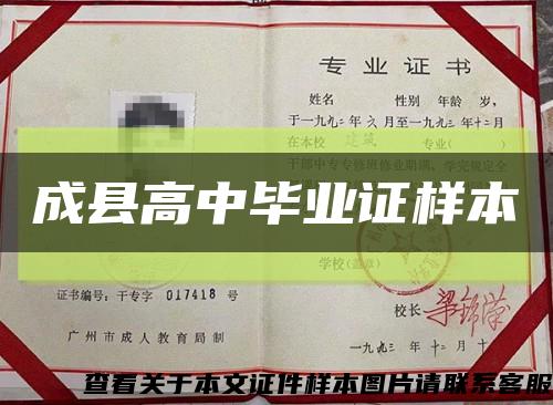成县高中毕业证样本缩略图