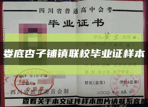 娄底杏子铺镇联校毕业证样本缩略图