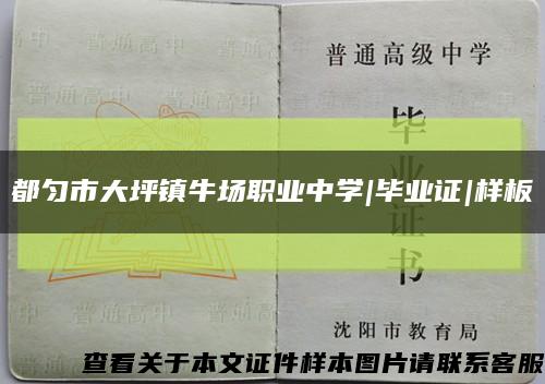 都匀市大坪镇牛场职业中学|毕业证|样板缩略图
