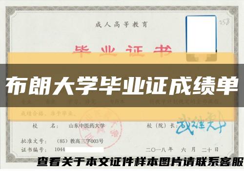 布朗大学毕业证成绩单缩略图