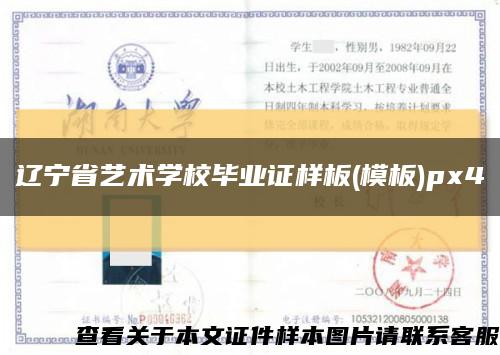 辽宁省艺术学校毕业证样板(模板)px4缩略图