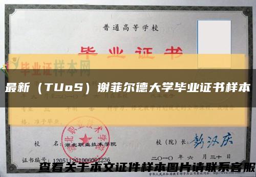 最新（TUoS）谢菲尔德大学毕业证书样本缩略图