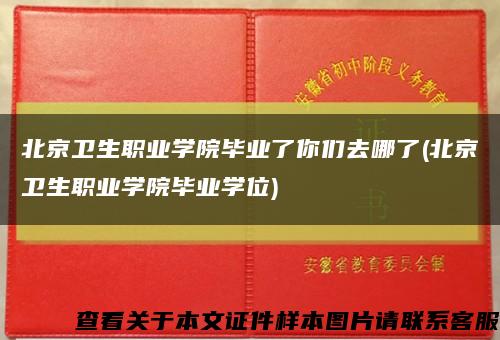 北京卫生职业学院毕业了你们去哪了(北京卫生职业学院毕业学位)缩略图