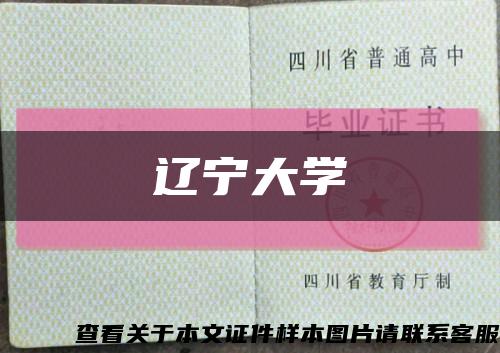 辽宁大学缩略图