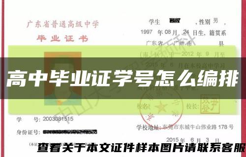 高中毕业证学号怎么编排缩略图