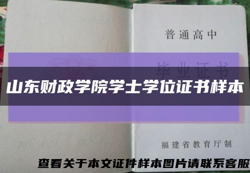 山东财政学院学士学位证书样本缩略图