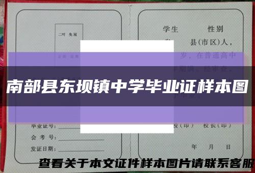 南部县东坝镇中学毕业证样本图缩略图