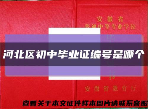 河北区初中毕业证编号是哪个缩略图