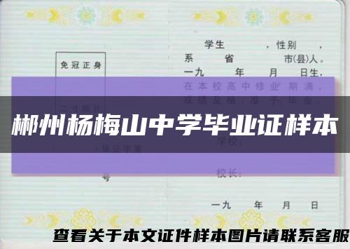 郴州杨梅山中学毕业证样本缩略图