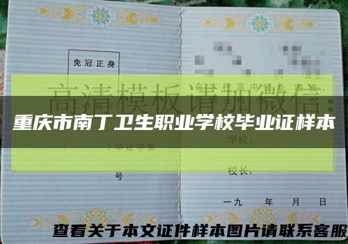 重庆市南丁卫生职业学校毕业证样本缩略图