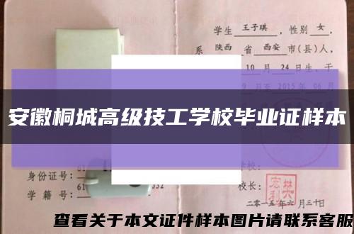 安徽桐城高级技工学校毕业证样本缩略图