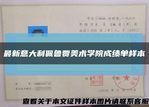 最新意大利佩鲁贾美术学院成绩单样本缩略图