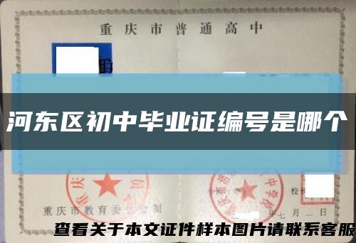 河东区初中毕业证编号是哪个缩略图